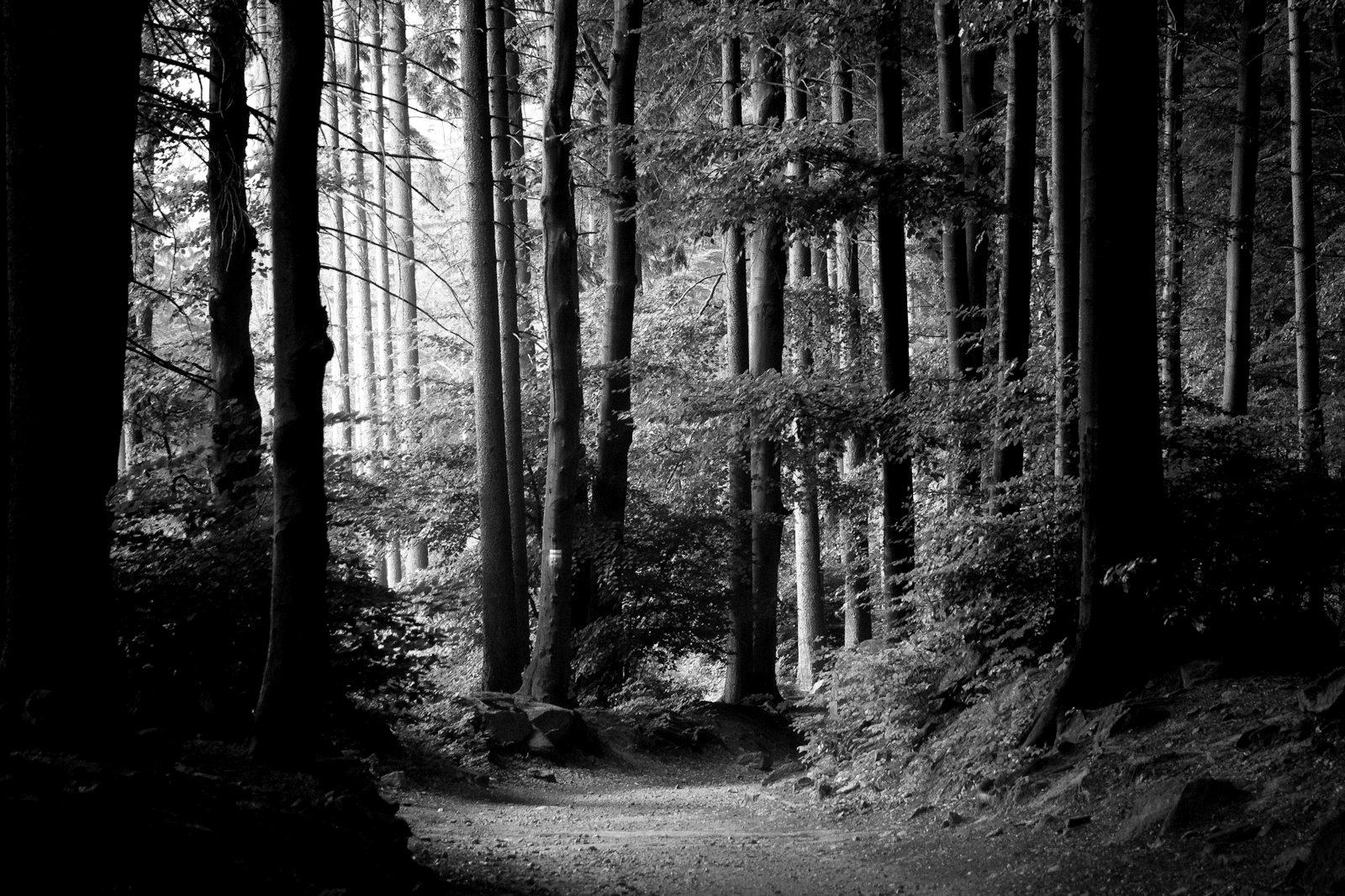 Archivfoto